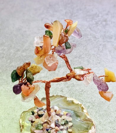 WhatsApp Image 2025-08-26 at 17.56.56